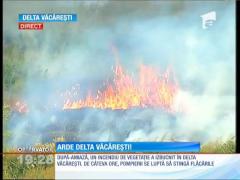 Un incendiu puternic a cuprins o zonă din Delta Văcăreşti!