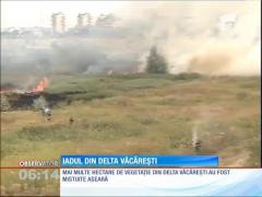 Incendiu în Delta Văcăreşti din Capitală