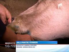 Observator 16 - partea I