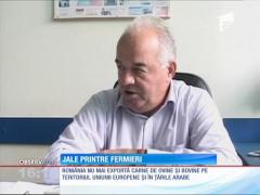 România a oprit exporturile de carne din cauza bolii limbii albastre
