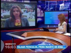 Un plan diabolic a fost dejucat de poliţiştii din Piteşti