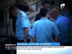 Observator de weekend