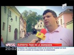 Special! Elefantul alb al pașei de la Sighişoara