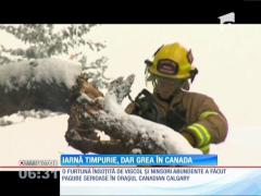 A venit iarna în Canada! Furtuni cu viscol şi ninsoare abundentă