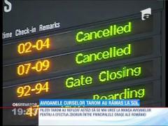 Avioanele curselor Tarom au rămas la sol