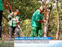 Gabi Tamaş, de veghe între panseluţe