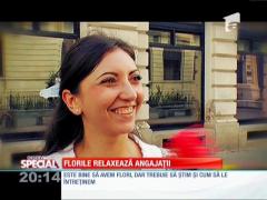SPECIAL! Florile relaxează angajaţii