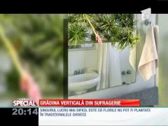 Grădina verticală din sufragerie