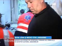 Intervenţie cu scuturi şi bastoane în apartamentul unei femei din Iaşi