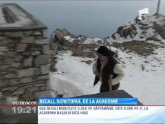 Gigi Becali, scriitorul de la academie