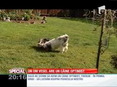Special! Un om vesel are un câine optimist