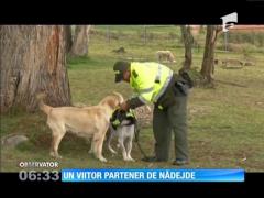 Pecas, de la câinele unui dealer de droguri, la un patruped de elită!