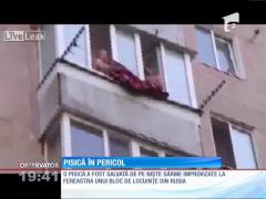 E CLAR! Pisicile chiar au nouă vieţi