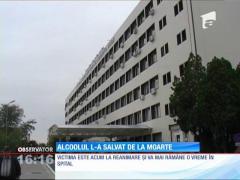 Alcoolul l-a salvat de la moarte, după ce a fost înţepat de un şarpe veninos