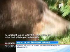 Vânătorii sunt în alertă! Atacat de urs, în propria curte