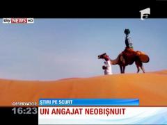O cămilă pe nume Raffia, cel mai nou angajat Google