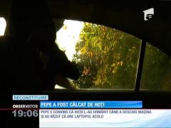 Pepe a fost jefuit în parc