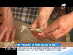 Un om de Neanderthal, care a trăit cu vreo 200.000 de ani în urmă, descoperit lângă Paris