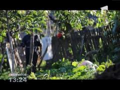 Observator 13 Weekend