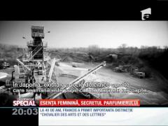 SPECIAL! În căutarea parfumului perfect