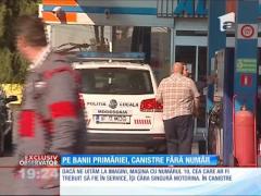 Poliţiştii locali din Mogoşoaia îşi alimentează propriile maşini cu motorină din banii primăriei