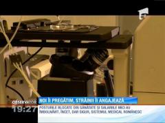 România îi pregăteşte, străinătatea îi angajează