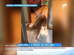 Un câine învaţă un bebeluş să sară!