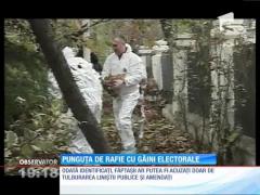 Punguţa de rafie cu găini electorale