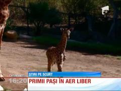 Un nou locatar SIMPATIC al unei grădini zoologice din California