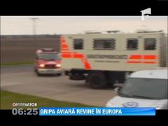 Alertă în Europa! Gripa aviară a revenit în câteva ţări din vestul continentului