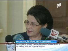 Senatorii au decis că Șerban Mihăilescu și Ecaterina Andronescu pot fi urmăriți penal
