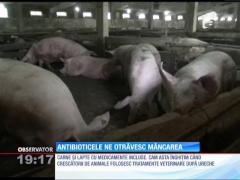 Antibioticele ne otrăvesc mâncarea