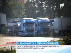 Caracatiţa a retrocedărilor