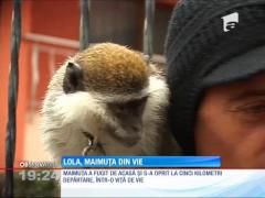 „Tremura și MÂNCA STRUGURI. NE-AM FĂCUT CRUCE”  Ce a găsit O FAMILIE DIN ARGEȘ în VIȚA DE VIE a ȘOCAT UN SAT ÎNTREG