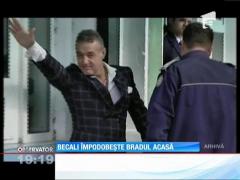 Gigi Becali împodobește bradul acasă