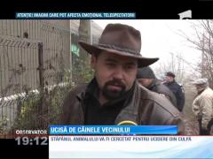 O femeie de 84 de ani a fost ucisă de câinele vecinului