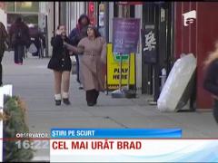 O, brad urât?! Acesta este cel mai puţin aspectos pom de Crăciun