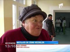 Bătrână mutilată de câinii vecinilor