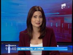 Un mistreţ a decis că i-ar fi mai bine pe o şosea decât în pădure