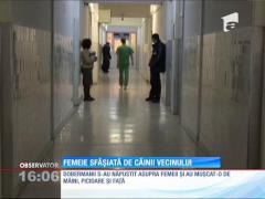 O femeie din Brăila a fost atacată de câinii unui vecin