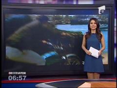 Daniel Craig revine în rolul agentului 007