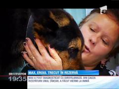 Max, eroul trecut în rezervă