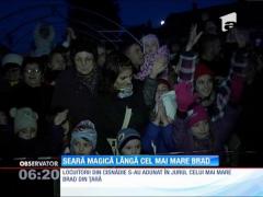 Cel mai mare brad de Căciun din ţară a fost împodobit la Cisnădie