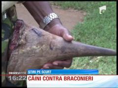 Câini contra braconieri în parcurile naturale din Africa de Sud