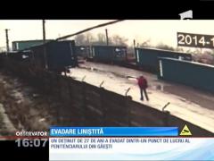 Evadarea liniștită a unui deținut de la Penitenciarul Găeşti