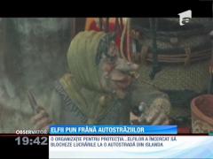 Elfii pun frână autostrăzilor din Islanda!