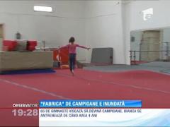 ”Fabrica” de campioane la gimnastică din Ploieşti, inundată
