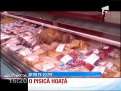 Motanul din raionul de delicatese