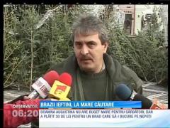 7 ore la coadă pentru un brad ieftin