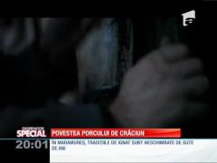 SPECIAL! Povestea porcului de Crăciun